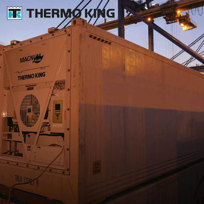 MP4000 THERMO KING কনটেইনার রেফ্রিজারেশন ইউনিট ম্যাগনাম প্লাস