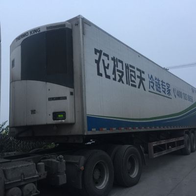 থার্মো কিং 0 সেলসিয়াস SLXI 300 ফ্রিজার ইউনিট খাদ্য শীতল করার জন্য