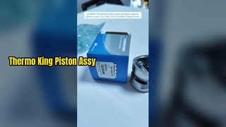 220850 থার্মো কিং আসল খুচরা যন্ত্রাংশ পিস্টন অ্যাসি